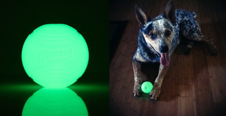 Zdjęcie Chuckit! Max Glow Ball piłka świecąca w ciemności dla psa Small 