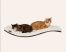 Zdjęcie Cosy And Dozy Półka dla kota Chill DeLuxe  Wenge, kolor Soft White 90 x 41 cm