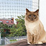 Zdjęcie Trixie Siatka ochronna do okien / balkonów wzmocniona 3 x 2 m, oliwkowa 