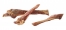 Zdjęcie Zolux Kość z szynki parmeńskiej foliowana mała  ok. 15 cm 3 szt. 