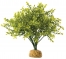 Zdjęcie Exo-Terra Roślina sztuczna Boxwood Bush do terrariów 35 x 35 x 30 cm 