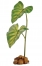 Zdjęcie Exo-Terra Dripper Plant roślina nawadniająca poidełko dla gadów i płazów nadrzewnych rozm. S (40,5 x 11 x 7 cm) 