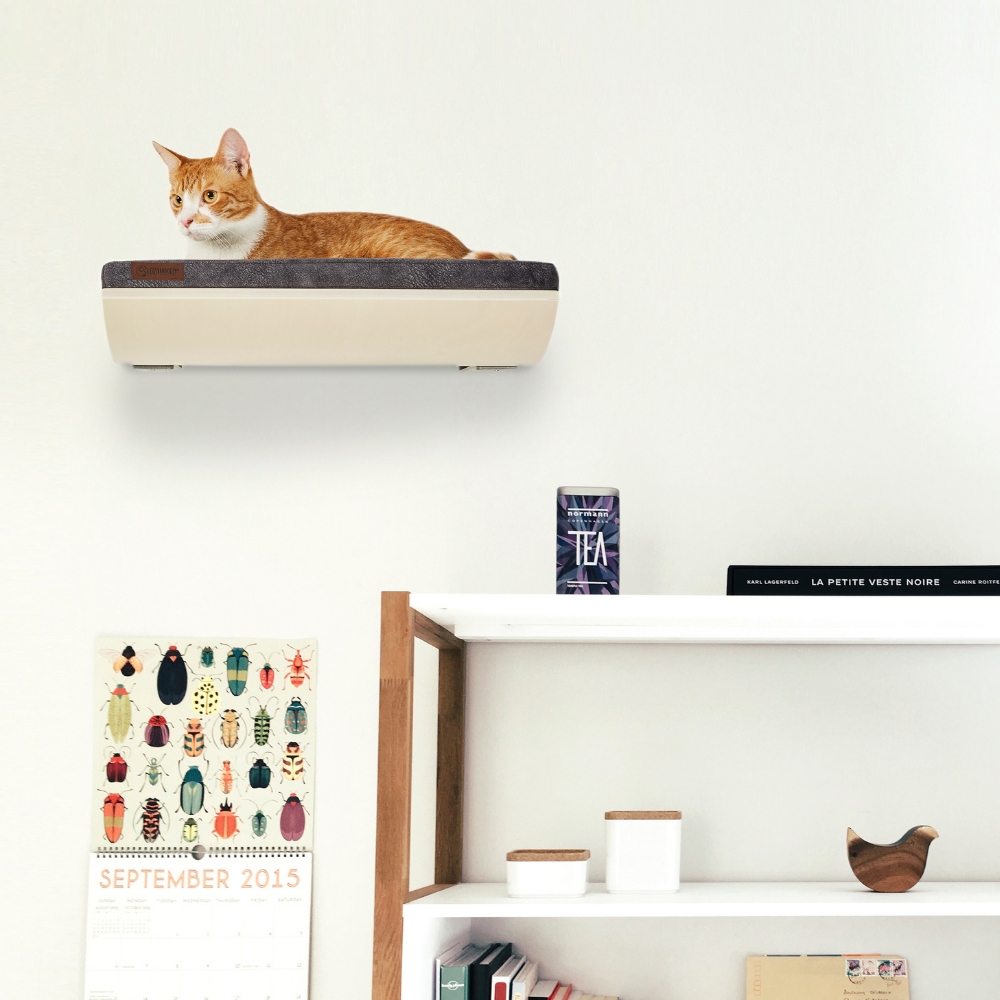 Zdjęcie Cosy And Dozy Półka dla kota Chill  Walnut (orzech), kolor Smooth Dark Grey 50 x 41 cm