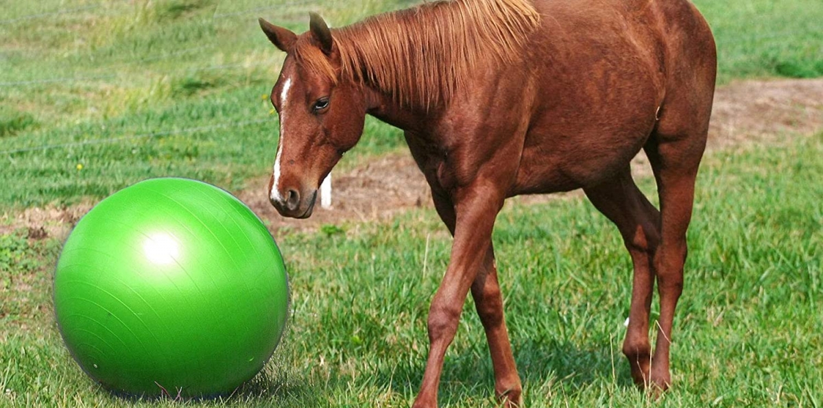 Zdjęcie Jolly Ball Mega Ball piłka gigant śr. 101 cm zielona 