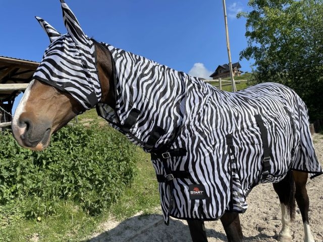 Zdjęcie Start Derka Zebra przeciw owadom z kapturem siatkowa czarno-biała 