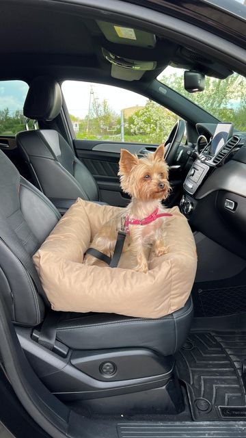 Zdjęcie Animood Fotelik samochodowy dla psa Julian  beżowy 55 × 50 × 17 cm