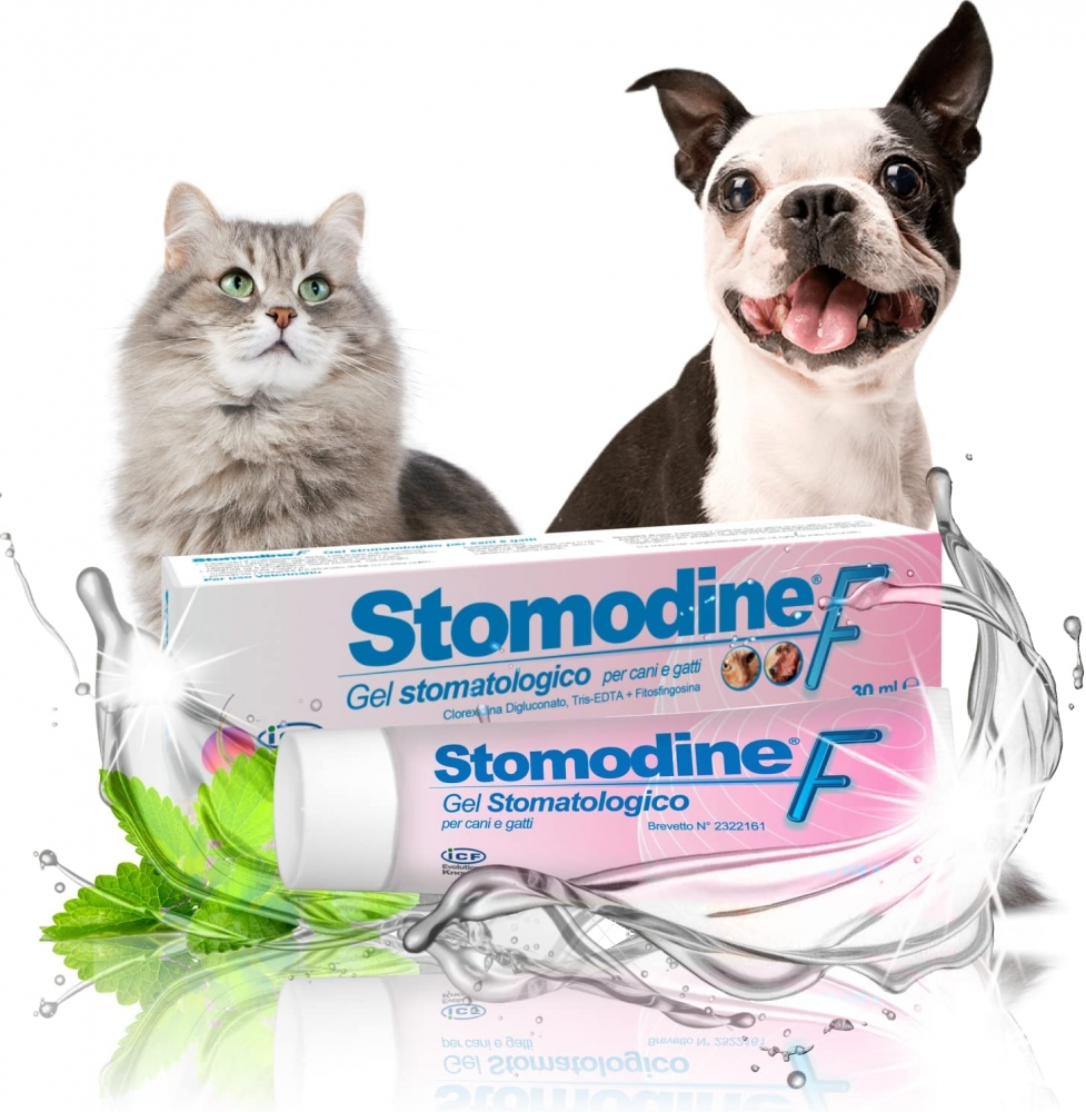 Zdjęcie Geulincx Stomodine F tubka żel do higieny jamy ustnej dla psów i kotów 30ml