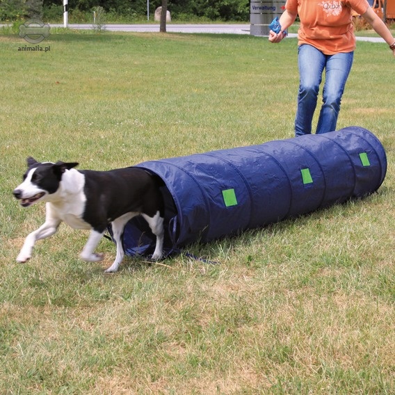 Zdjęcie Trixie Dog Activity Agility tunel mały dla psa   niebieski 2 m / śr 40cm 