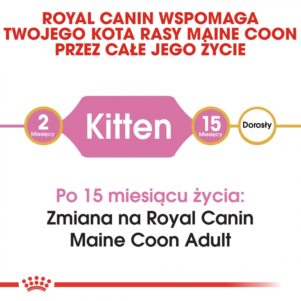Zdjęcie Royal Canin Kitten Maine Coon   400g