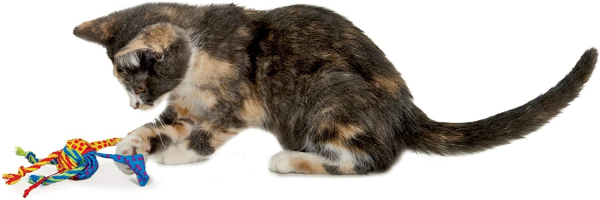 Zdjęcie Petstages Play: Tons of Tails piłka szmacianka dla kota  