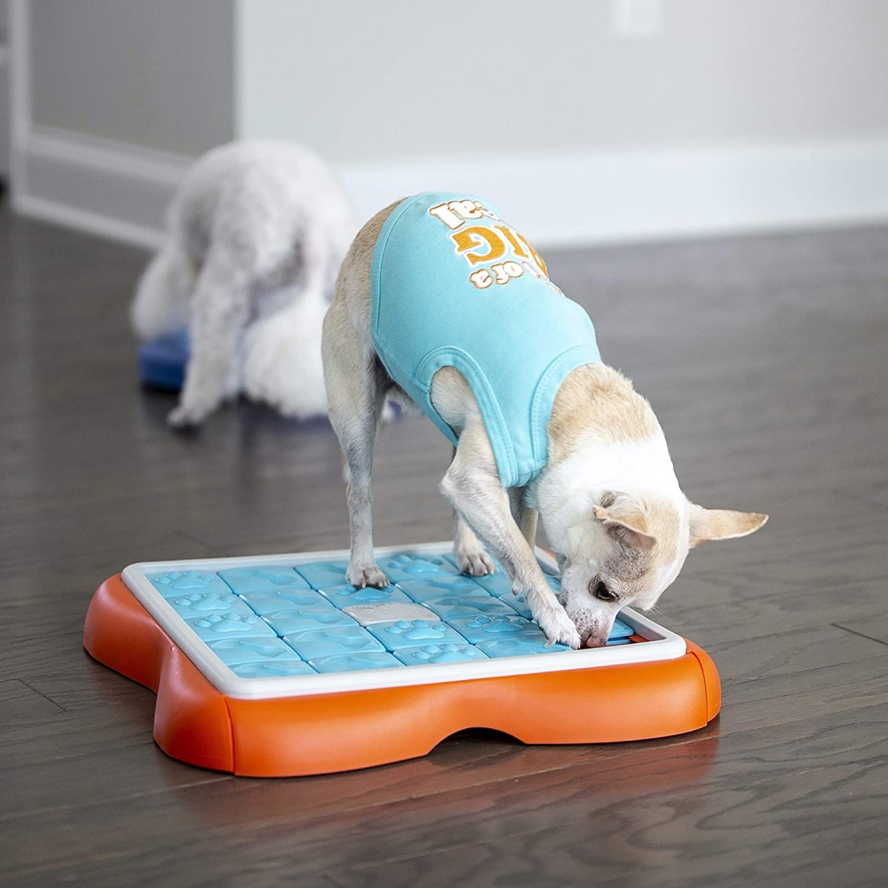 Zdjęcie Outward Hound Challenge Slider poziom 3 Nina Ottosson zabawka edukacyjna dla psa 37 x 37 cm