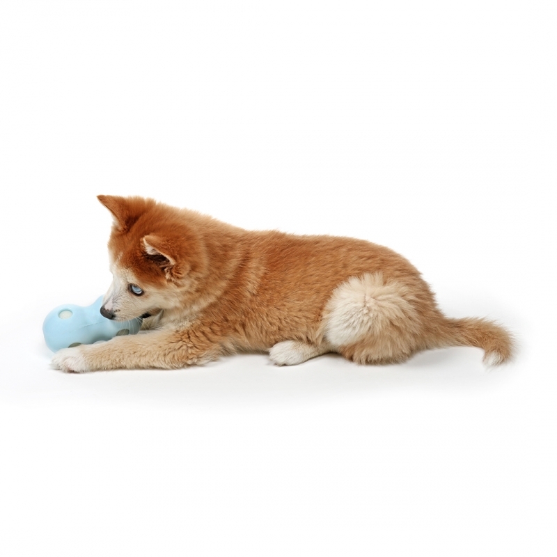 Zdjęcie Ebi Petit Coco zabawka kojąca dla psa  niebieska 12 x 6 x 6 cm