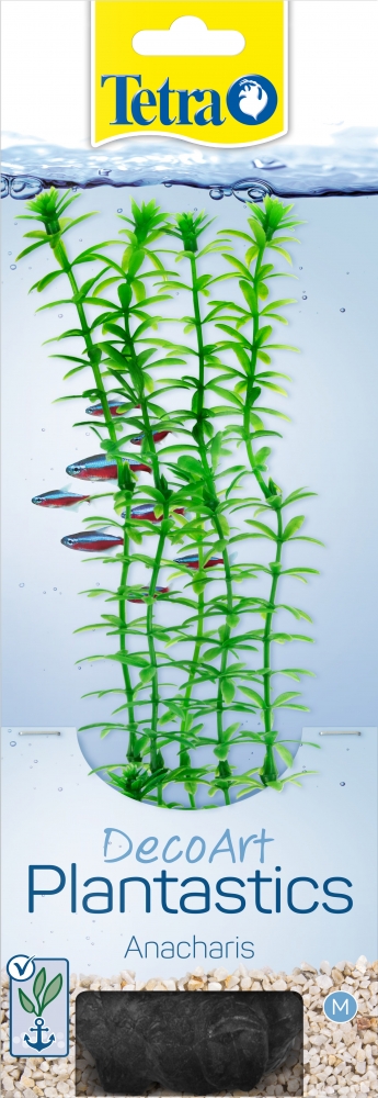 Zdjęcie Tetra Anacharis roślina do akwarium   30 cm