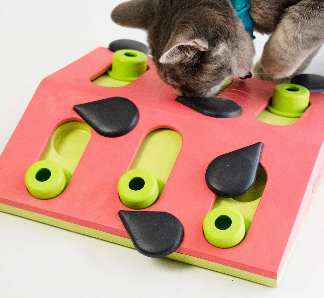 Zdjęcie Outward Hound Cat Melon Madness Puzzle & Play Nina Ottosson zabawka edukacyjna dla kotów 26,6x7x26,5 cm