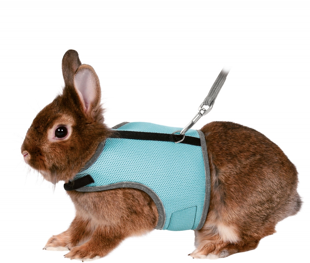 Zdjęcie Trixie Szelki pełne ze smyczą  dla królika miniaturowego 25–32 cm