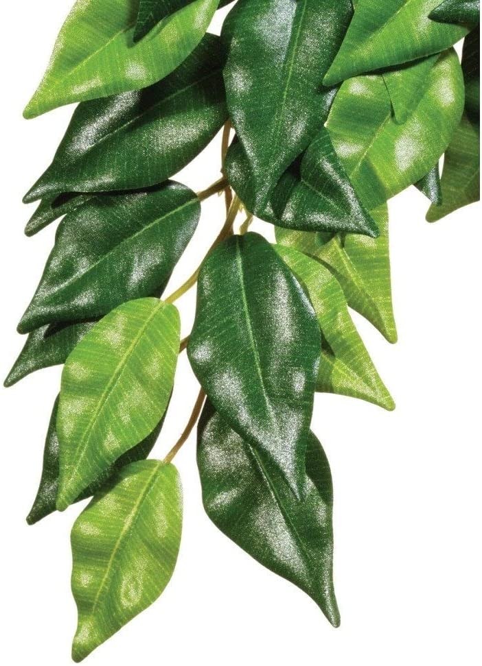 Zdjęcie Exo-Terra Roślina sztuczna Silk Ficus do terrariów tropikalnych rozm. L (70 cm) 