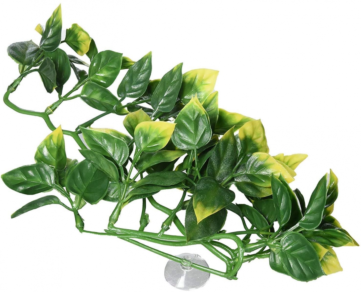 Zdjęcie Exo-Terra Roślina sztuczna Amapallo do terrariów rozm. S (32 cm) 
